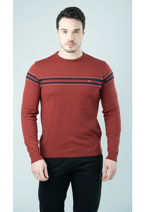 BLUSA MASCULINA